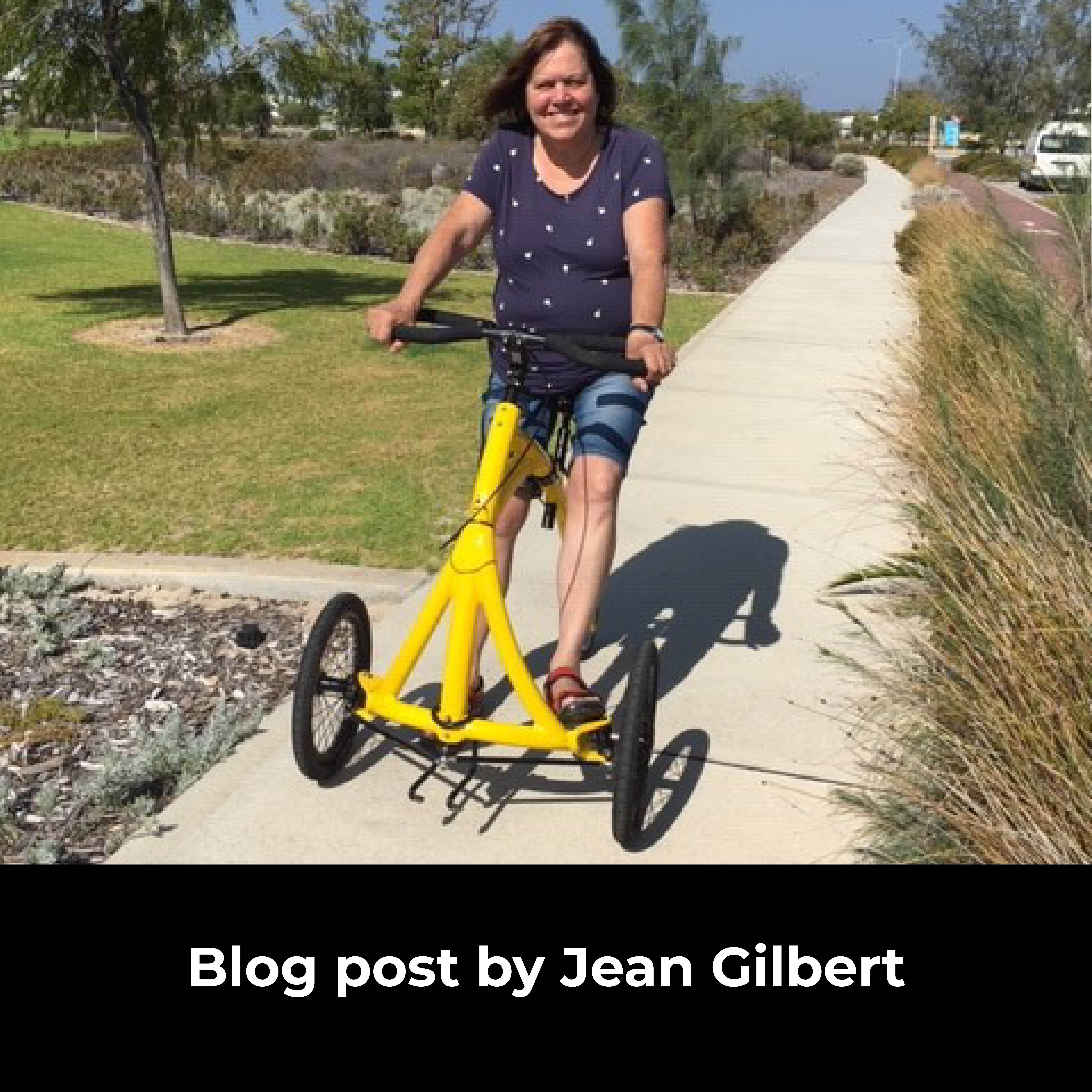 alinker walking bike reviews